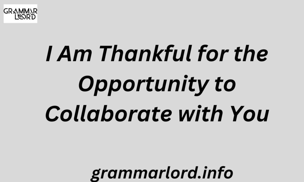 I Am Thankful for the Opportunity to Collaborate with You